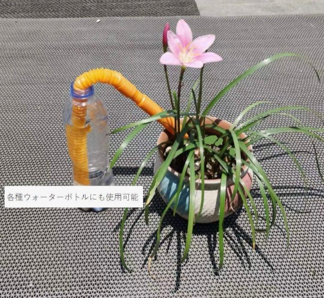 自動給水器 自動水やり器　自動給水キャップ 植物自動じょうろ (5L)