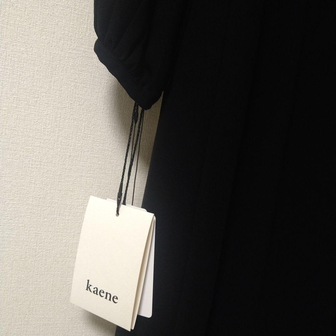 新品未使用❀kaene❀カエン　フォーマルブラックオールインワン　42 XL