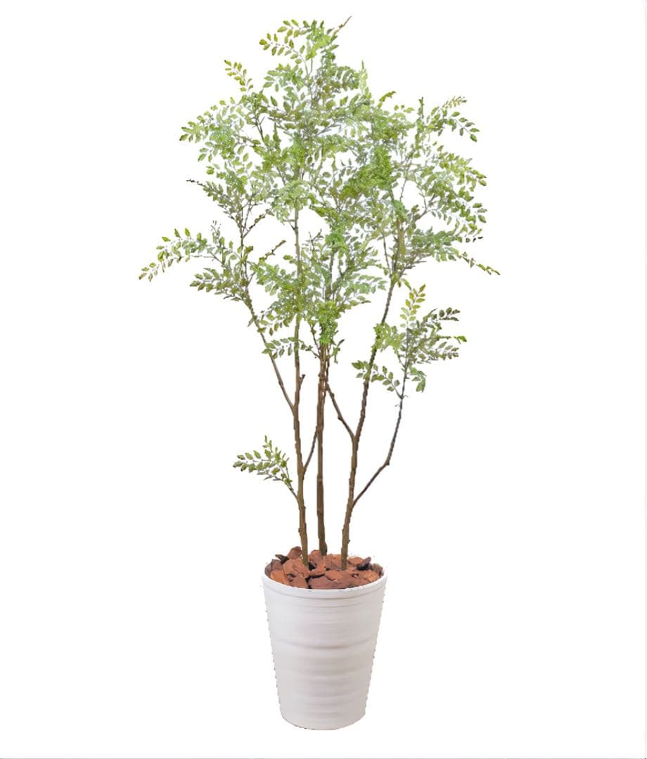 光触媒　観葉植物　ウォールグリーン　フェイクグリーン　シマトネリコ8210
