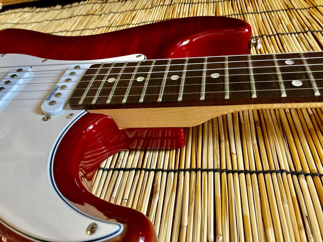 ☆値下決断 ☆美品　改造して新機能満載　ローノイズ化したBUSKERS ST