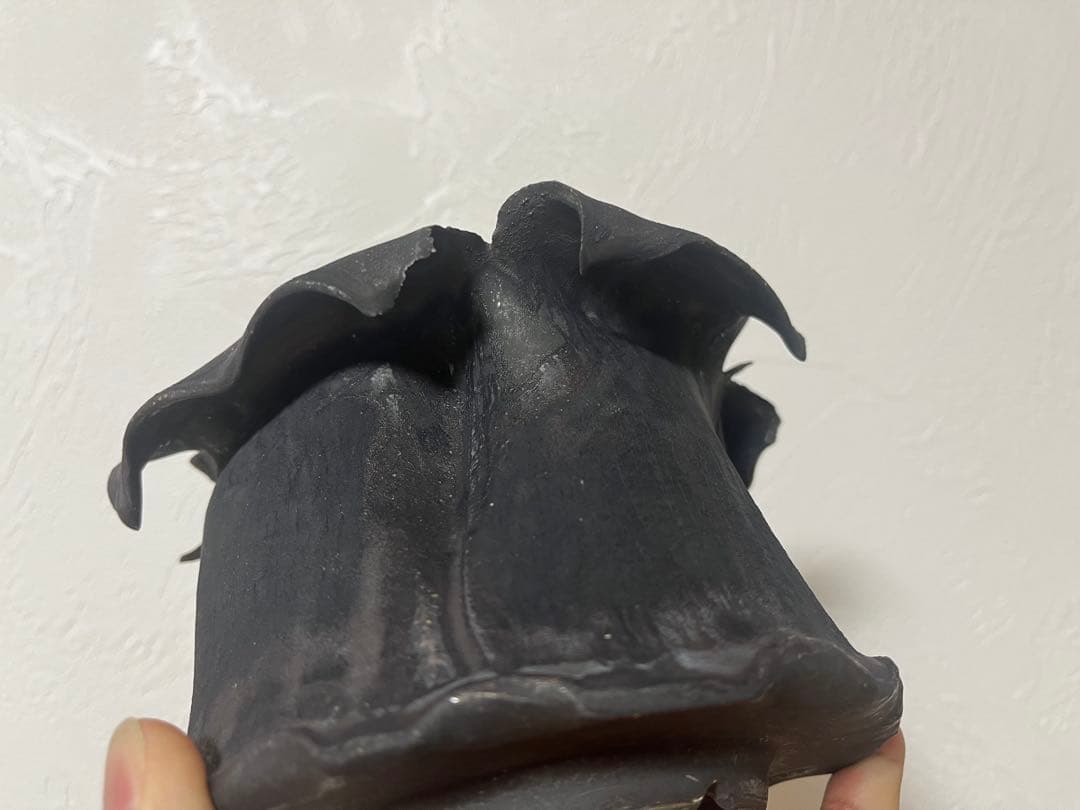 y鉢 植木鉢　作家　細川政己