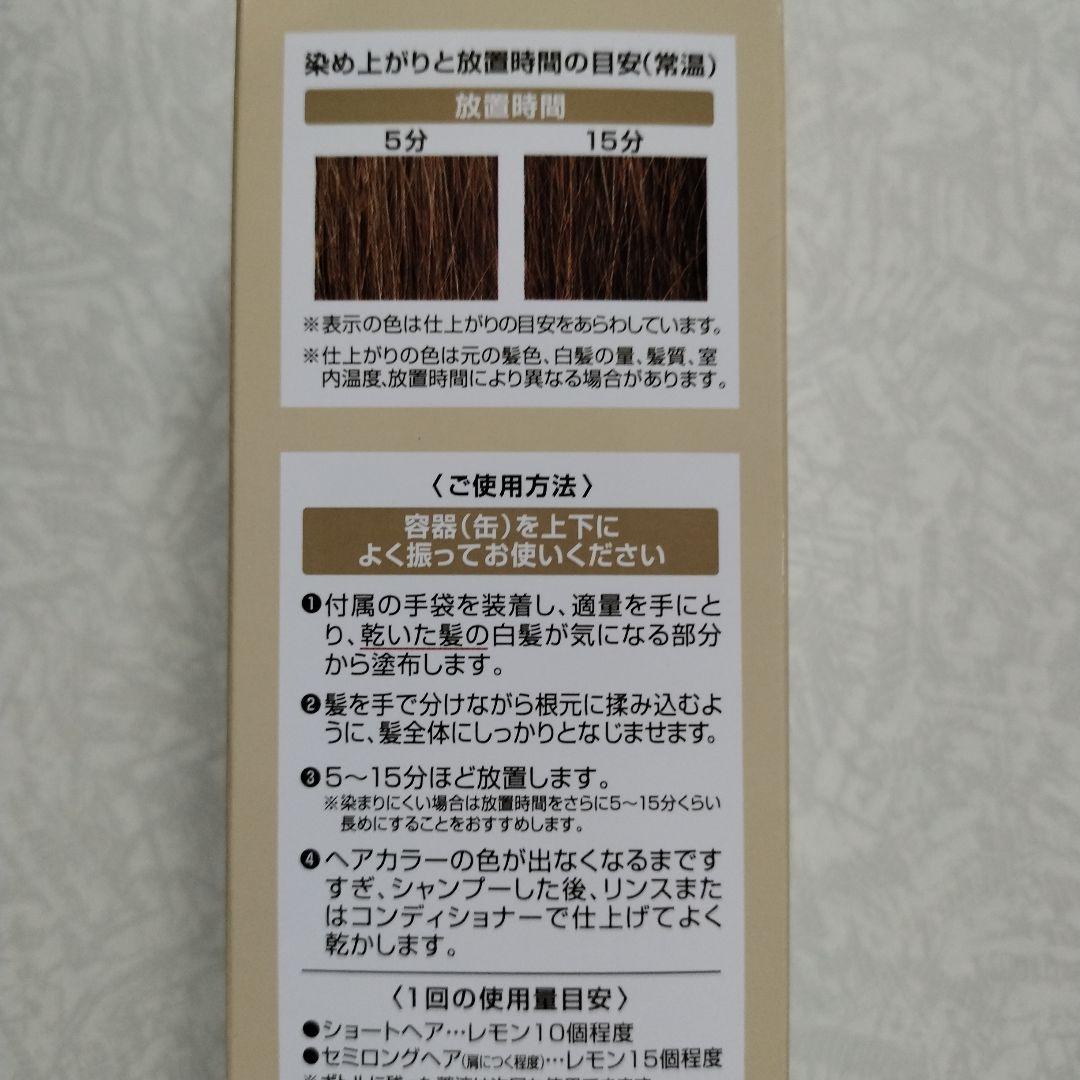 ÉCLAT ボタニカルエアカラー フォームup150g２本セット