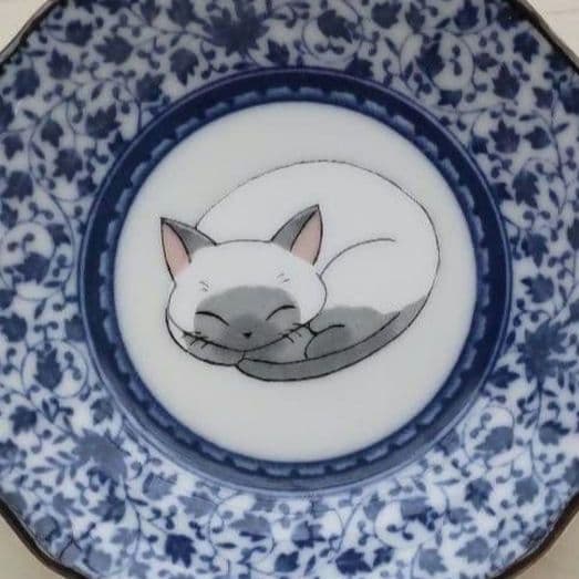 新品　九谷焼　12cm皿　眠り猫　C　ねこ　ネコ　猫