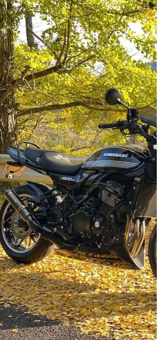 z900rs カフェ　se レオパルド　アンダーカウル Z900RS