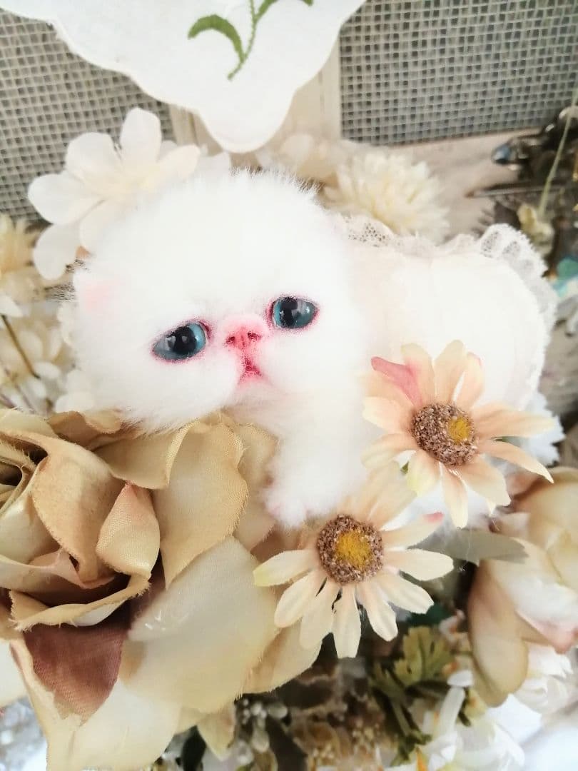 ミニミニ子猫ちゃん♡エキゾチック♡アートドール♡ぬいぐるみ♡