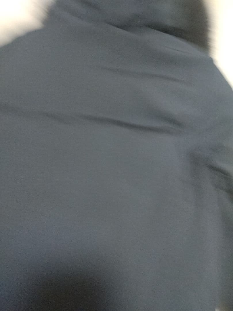 美品✨グリーンレーベルリラクシング リバーシブルダウンジャケット フォックス38