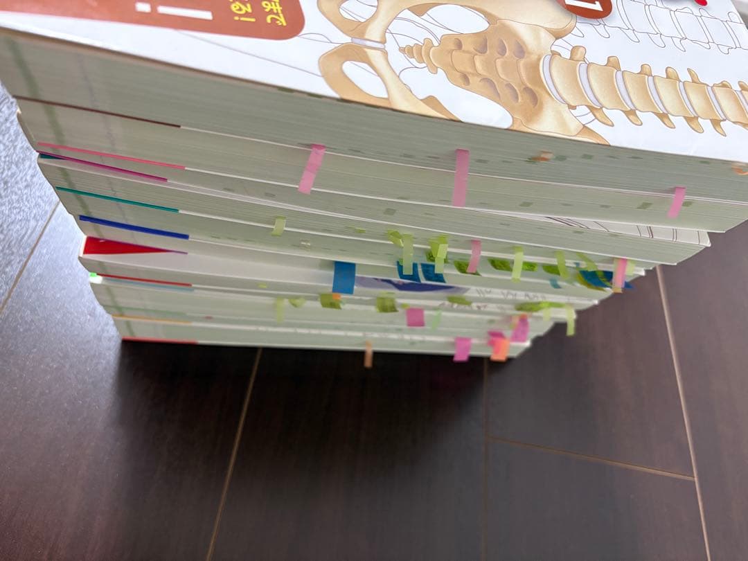 病気がみえる 全11巻セット