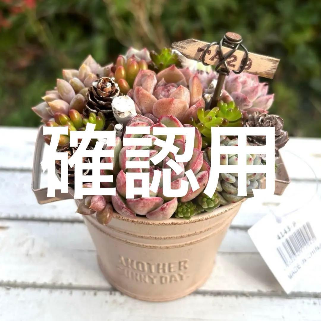 おすすめ！可愛い寄せ植え　多肉植物寄せ植え　取っ手付き　バケツ型　ピンク系