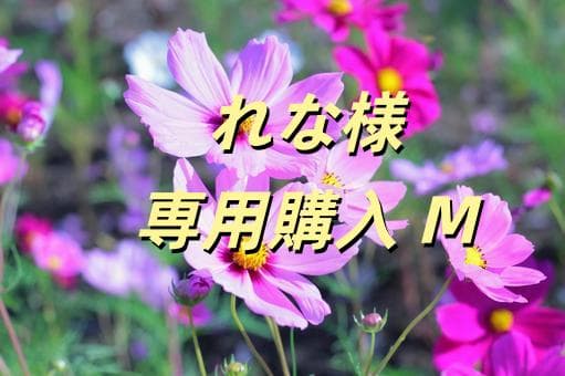 れな購入 M