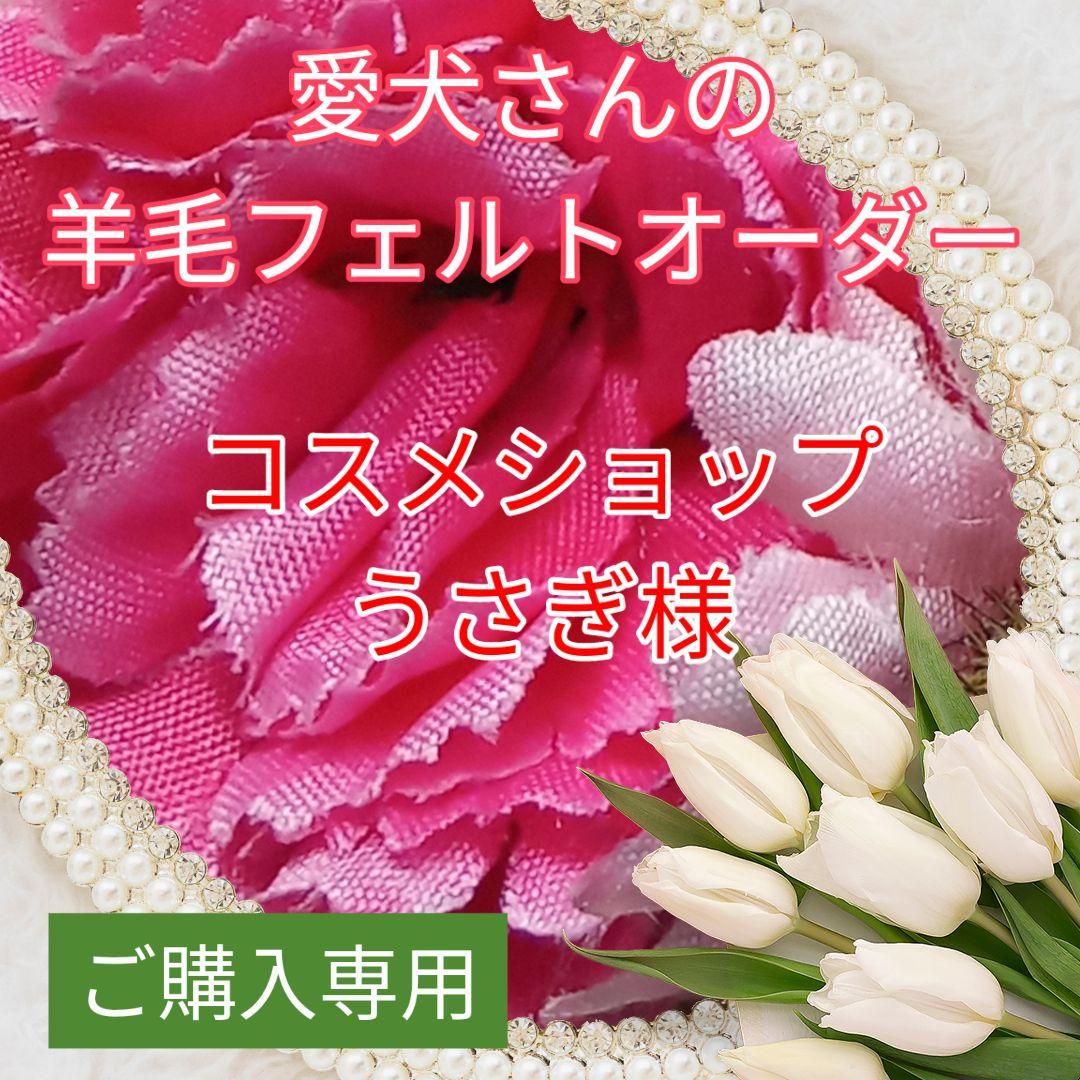 愛犬さんの羊毛フェルトオーダー・コスメショップうさぎ様ご購入専用