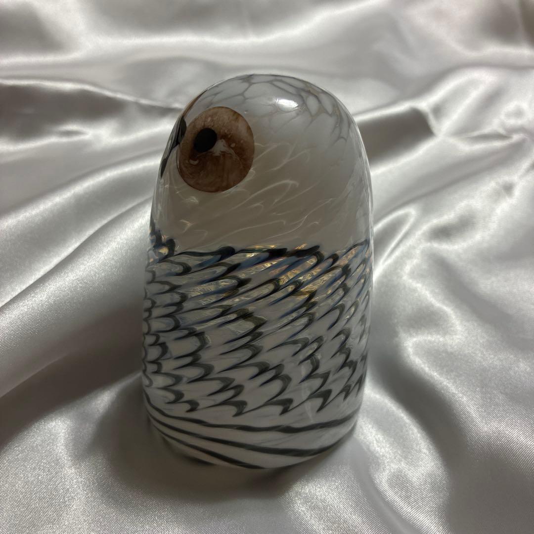  Lumi バード Owlet owl フクロウ