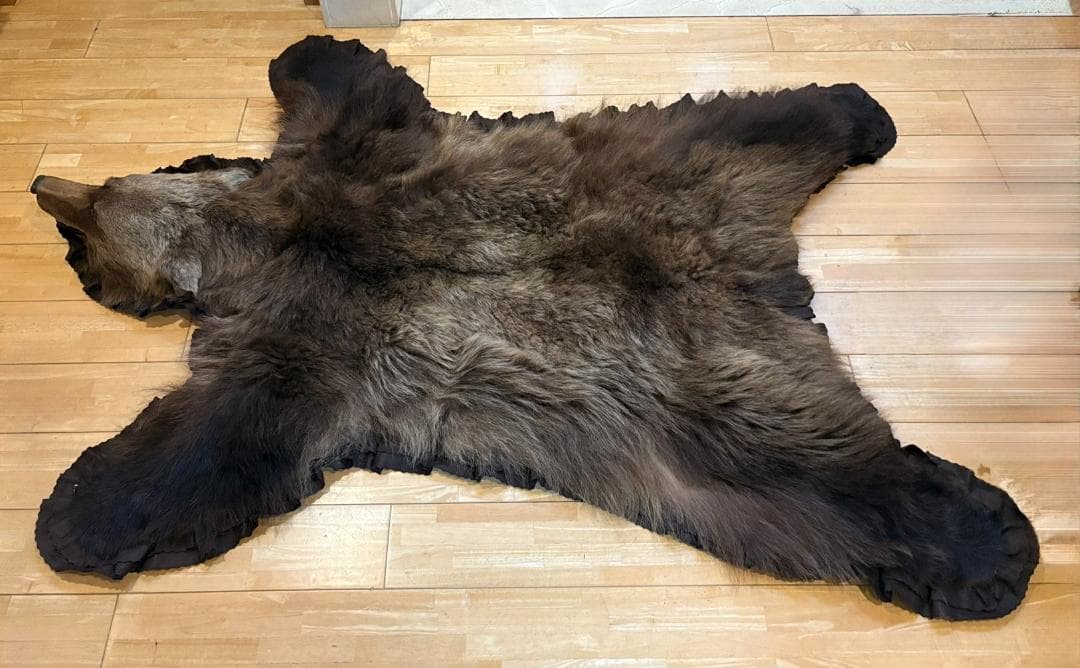 ★ 高品質 カナダ産 Grizzly ラグ　頭骨付　※CITES・登録票付