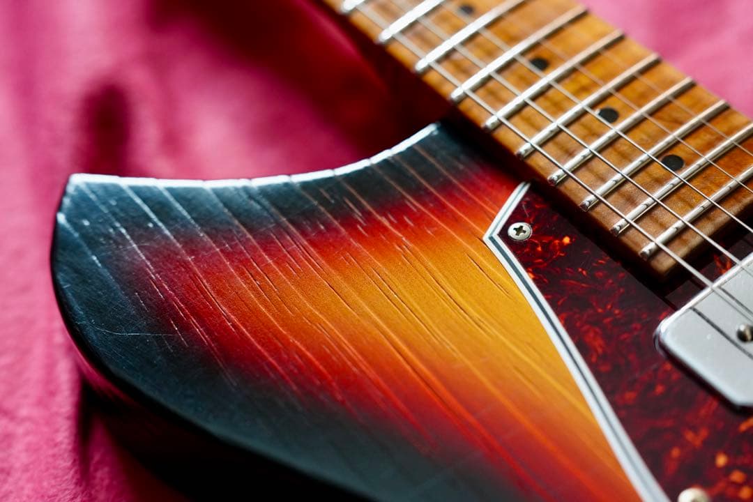 NOVO Serus T / 公式Insta掲載個体 / 3.13kg/fano