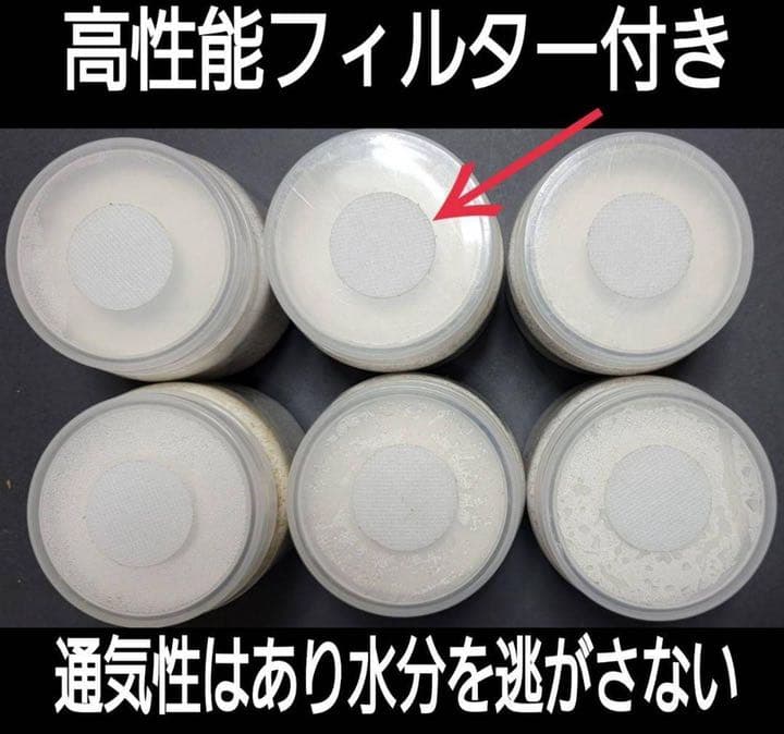 極上！黒アワビタケ菌糸瓶【9本】初令、2令に最適なサイズ！ニジイロクワガタに！