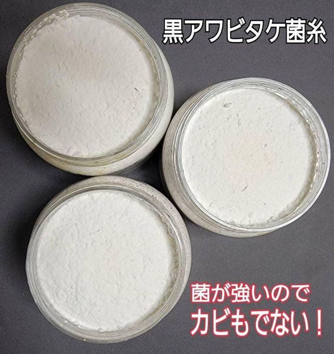 極上！黒アワビタケ菌糸瓶【9本】初令、2令に最適なサイズ！ニジイロクワガタに！
