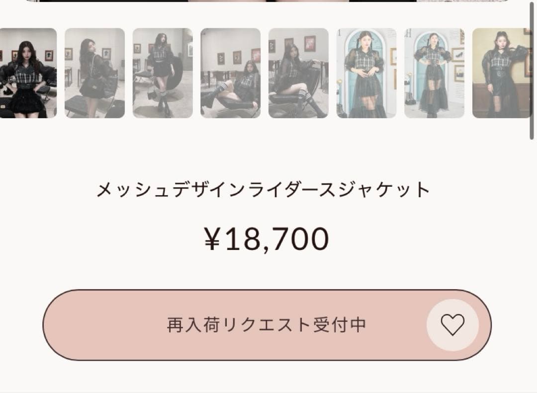 Darich メッシュデザインライダースジャケット