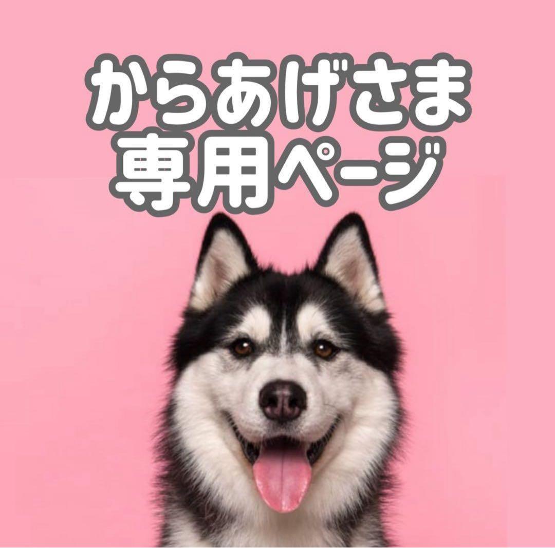 BMサ18◯●からあげページ●◯