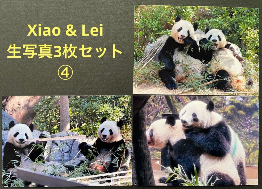 専用　シャオシャオ レイレイ　シャンシャン