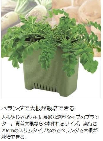 新品未使用　Richell 夏野菜プランター 50型　11セット