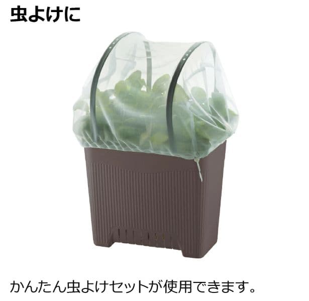 新品未使用　Richell 夏野菜プランター 50型　11セット