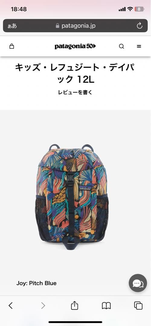 【新品】リュック パタゴニア　Patagonia