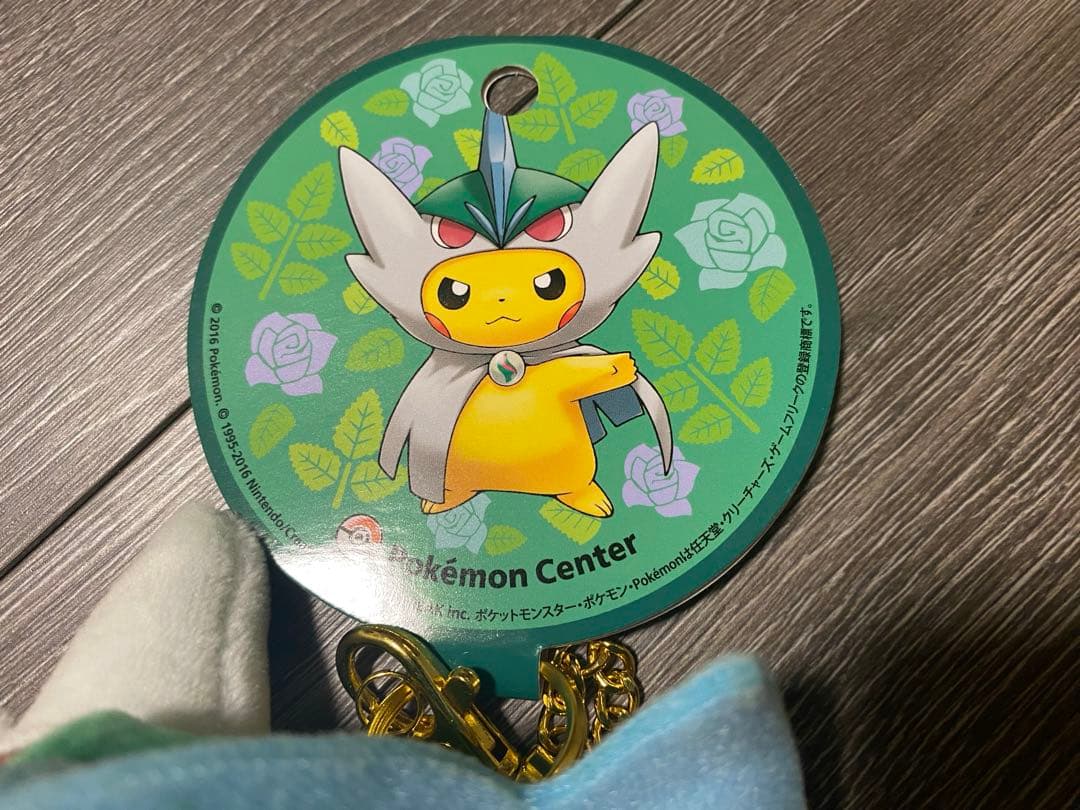 マスコット メガエルレイドのポンチョを着たピカチュウ 新品 ポケモン ポケセン