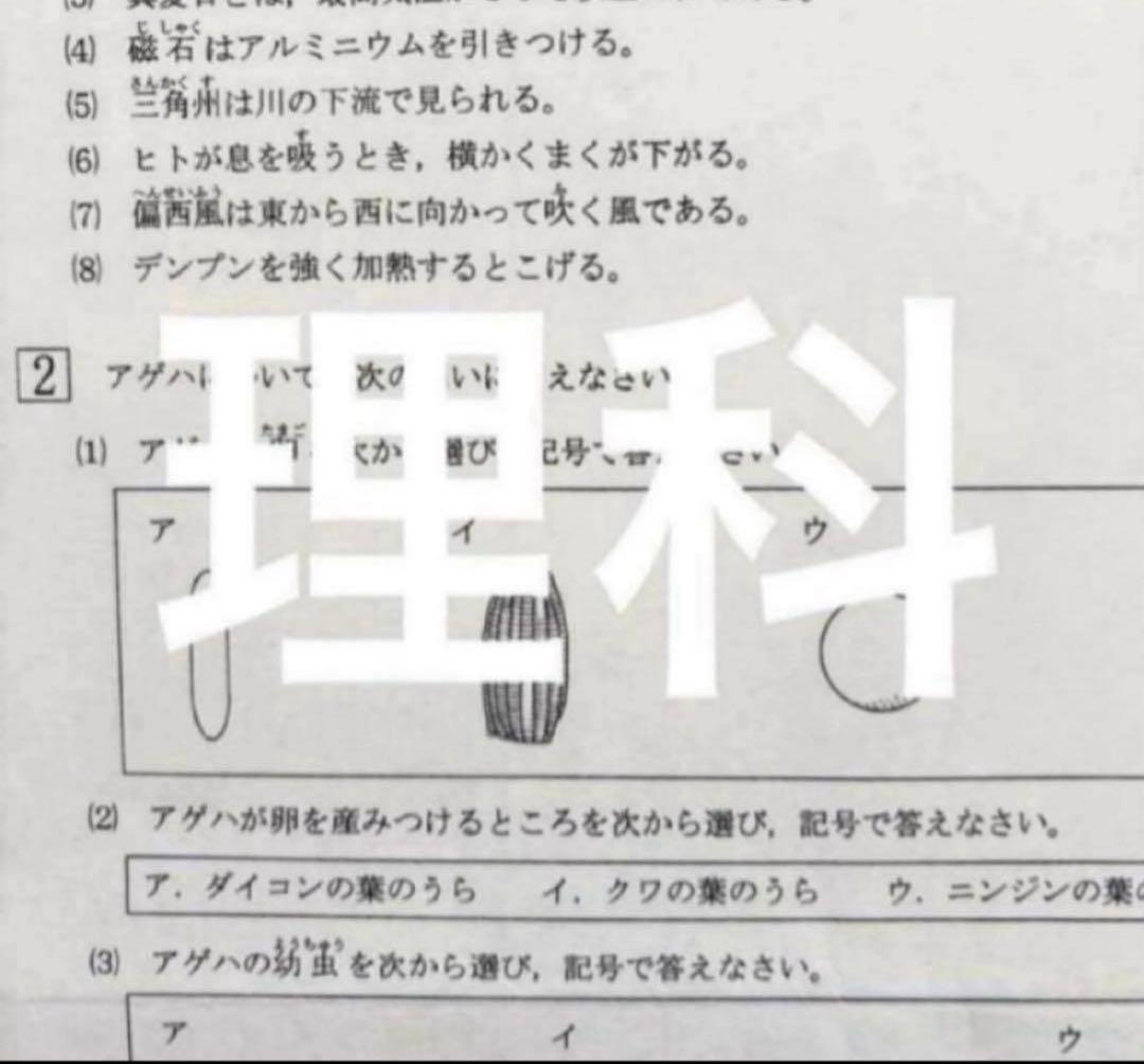 HIROKO様