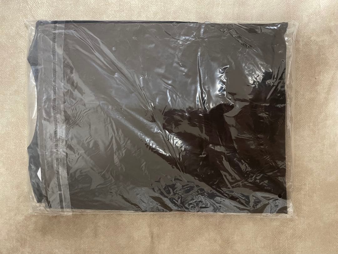 THE NORTH FACE ALBANY EX ブラウン