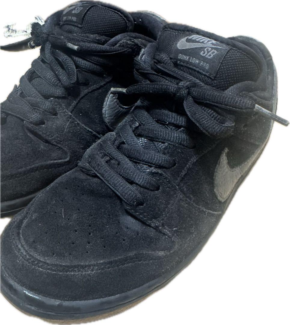 Nike Dunk Low Pro ブラック