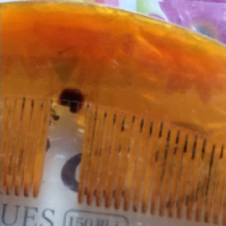 鼈甲の櫛