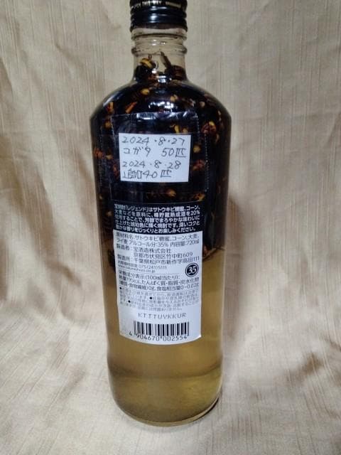 昆虫サンプル2　コガタスズメバチ　90匹　in アルコール35％