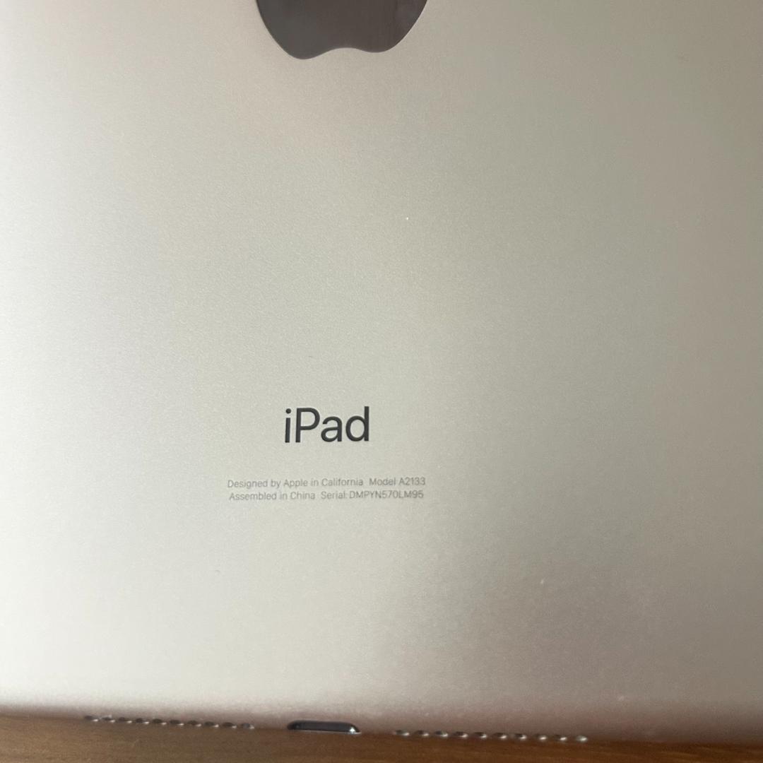 iPad mini 第5世代 本体 ゴールド