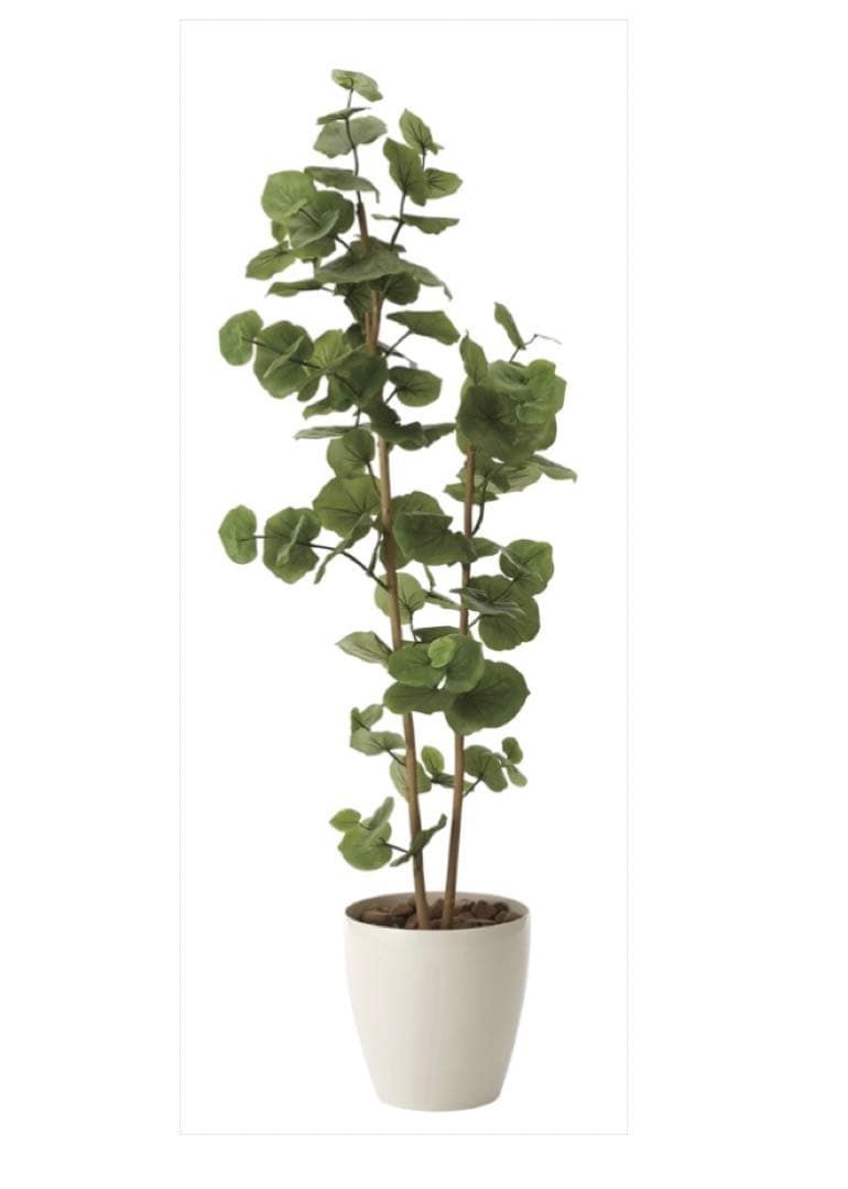 光触媒　人工観葉植物　ウォールグリーン　フェイクグリーン　シーグレープ1.6ｍ@