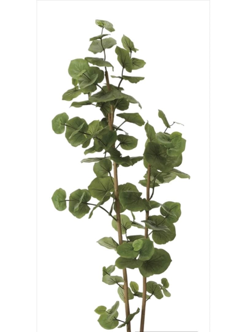 光触媒　人工観葉植物　ウォールグリーン　フェイクグリーン　シーグレープ1.6ｍ@