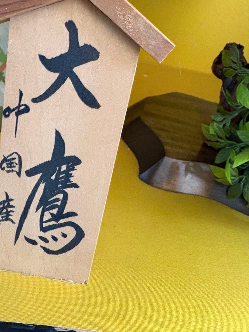 大鷹 剥製