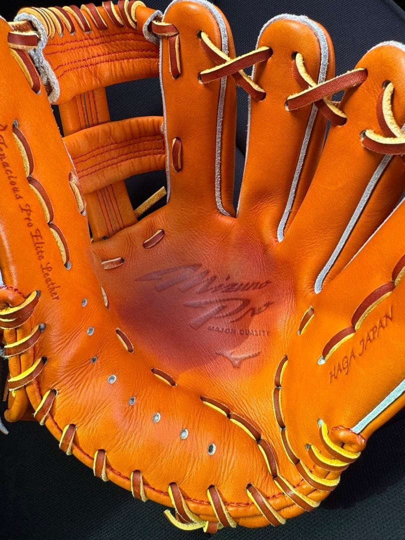 Mizuno 硬式用グローブ　テネイシャスプロエリート