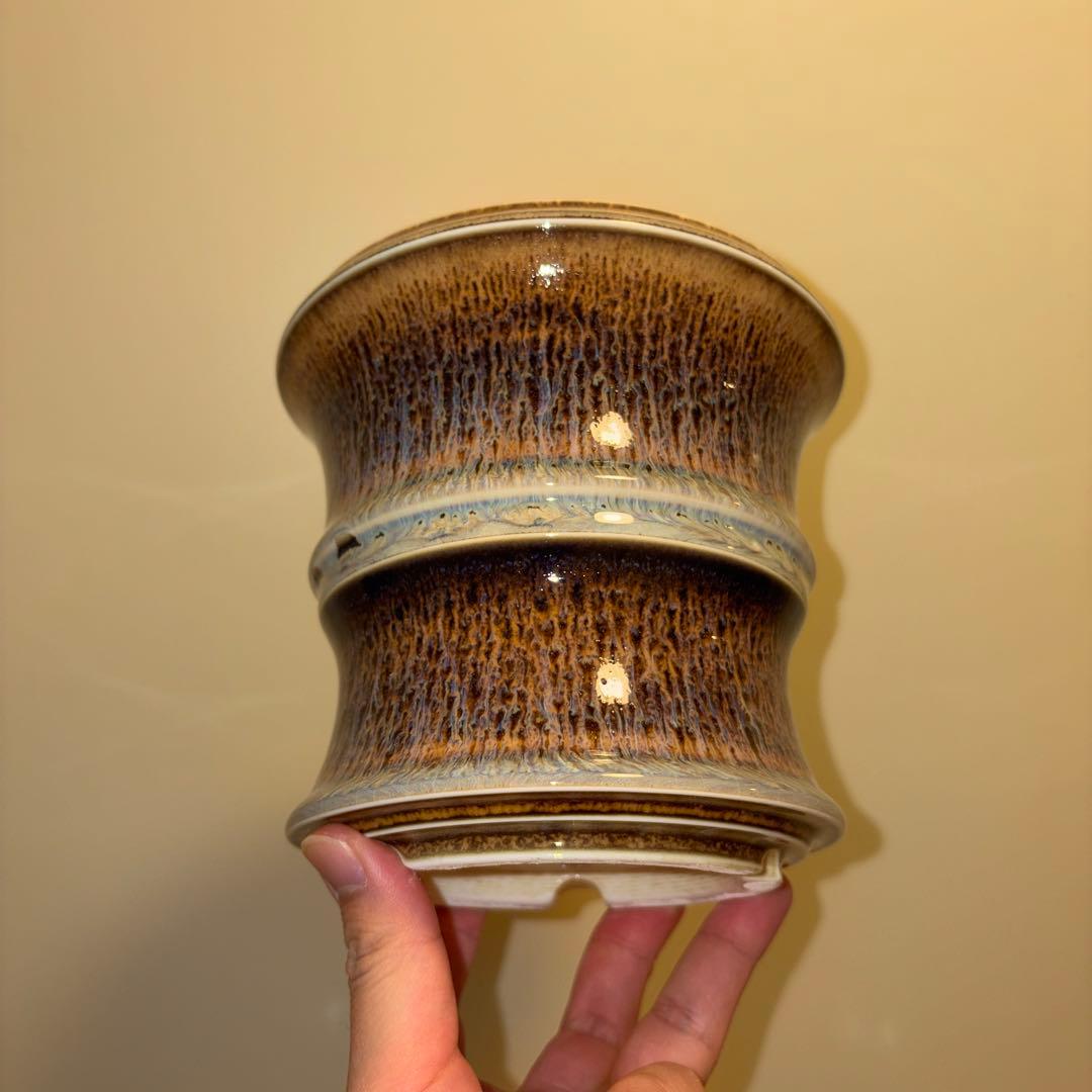 XL 盆栽鉢 作家鉢 陶器 真柏 糸魚川 皐月 五葉松 黒松 アガベ チタノタ