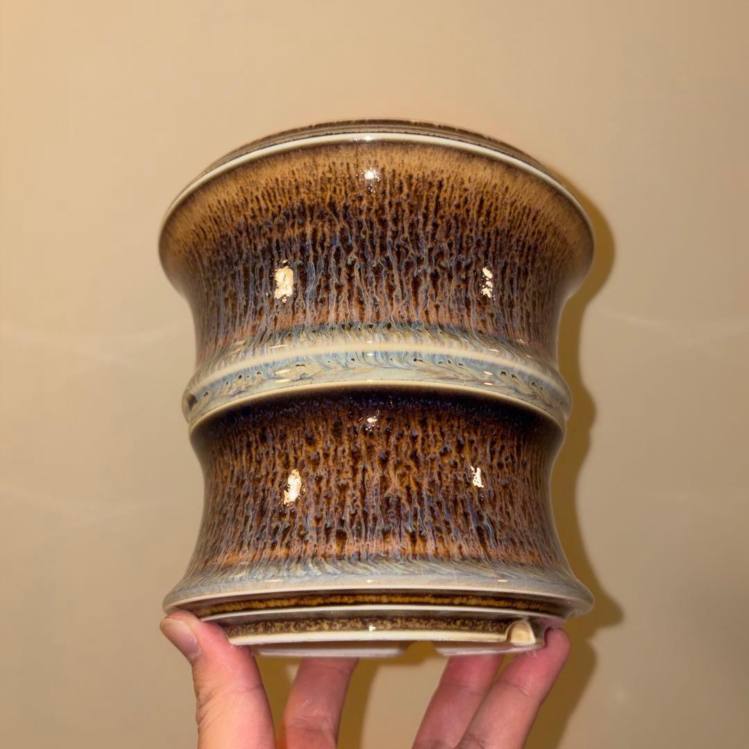 XL 盆栽鉢 作家鉢 陶器 真柏 糸魚川 皐月 五葉松 黒松 アガベ チタノタ