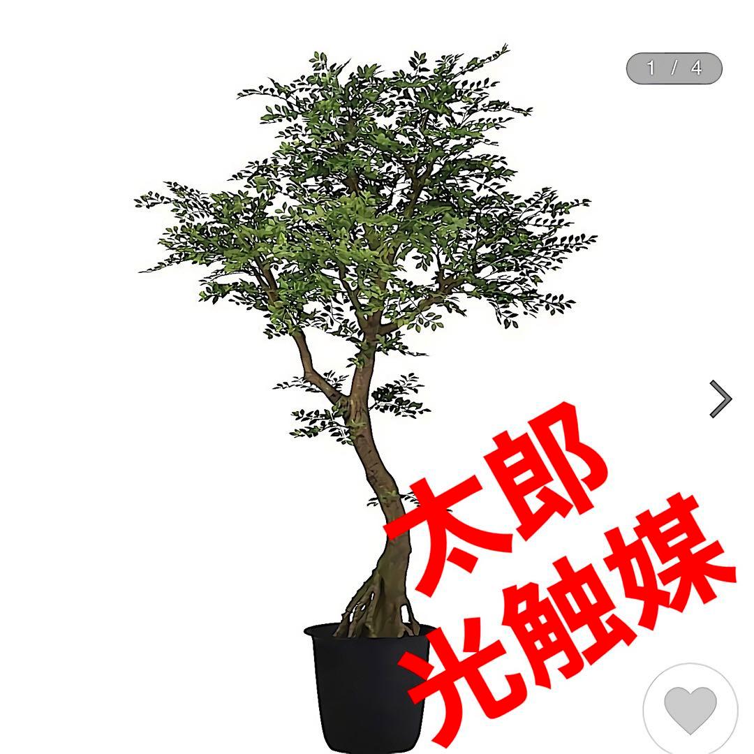 光触媒　人工観葉植物　ウォールグリーン　フェイクグリーン　ゴールデンコアッド