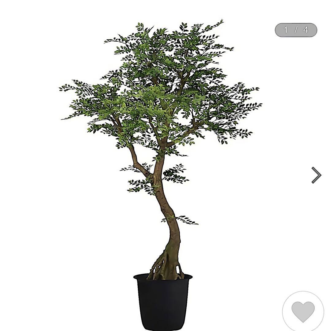 光触媒　人工観葉植物　ウォールグリーン　フェイクグリーン　ゴールデンコアッド