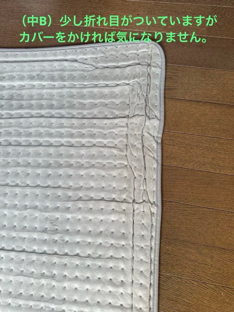 ボディ・フェイスケア DENBA Health High-grade