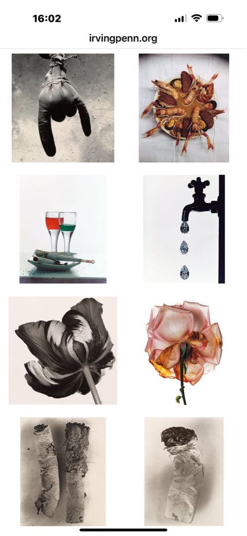 未開封「Still Life 」Irving Penn 出版イギリス2001年