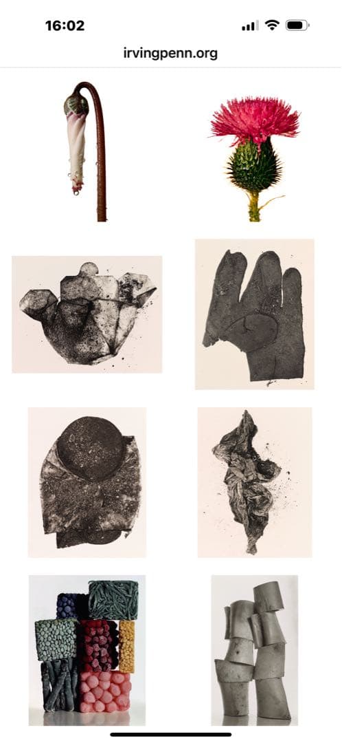 未開封「Still Life 」Irving Penn 出版イギリス2001年