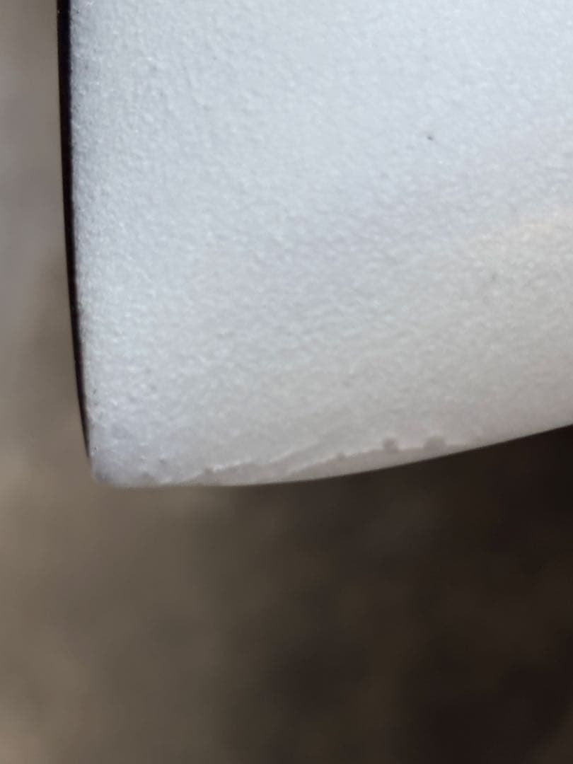 CHRISTENSON FISH ゲーマー様用