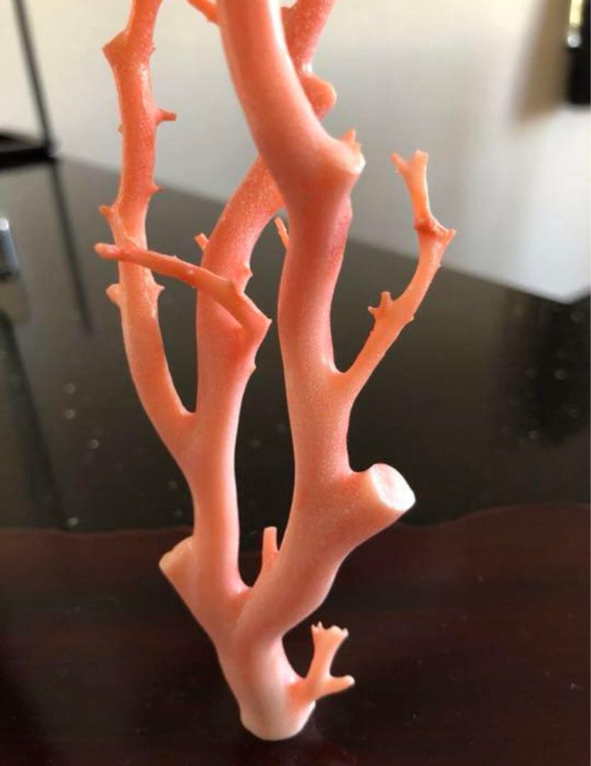 ピンク珊瑚