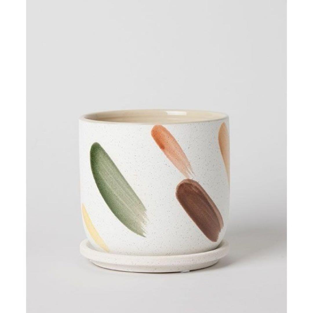 トゥデイズスペシャル / デシレ ポット 15cm