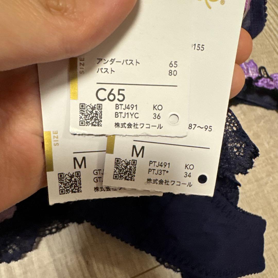 サルート　91G 3点セット