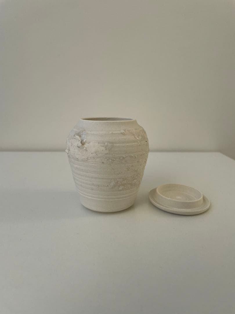 ★オノエコウタ★中国茶、茶道　茶器　茶入れ