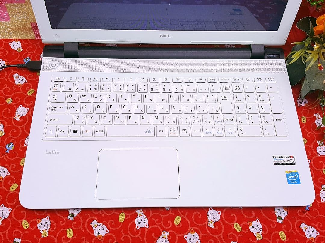 薄型NEC/Win11/新品SSD256G/高速メモリ8G/カメラ/高年式モデル