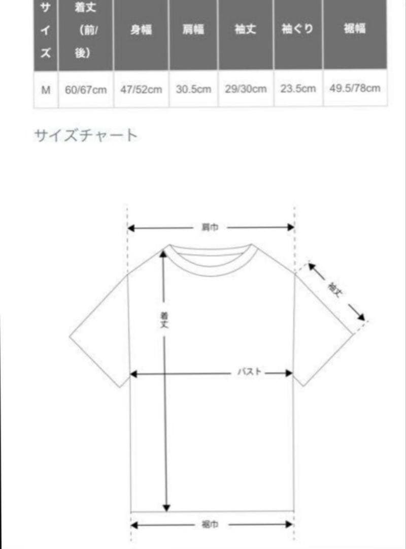 美品⭐︎マリリンムーン　フリルストライプ　ブラウス　定価25,300円